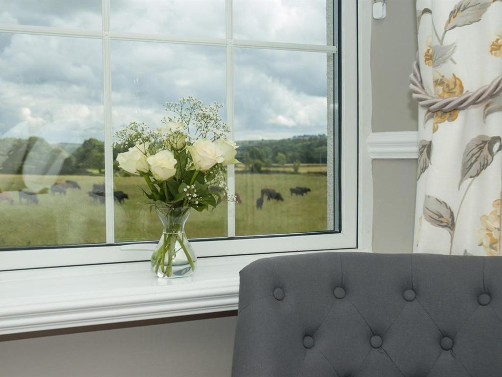 Poole Farm Bed & Breakfast Launceston Room photo